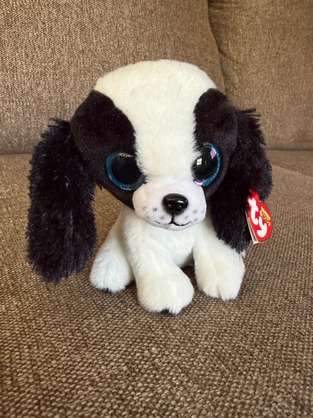 Ty Beanie Boos “SISSY” Black & white plush dog big blue eyes 7”
